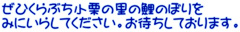 ぜひくらぶち小栗の里の鯉のぼりを みにいらしてください。お待ちしております。