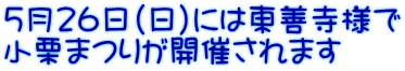 5月２６日（日）には東善寺様で 小栗まつりが開催されます